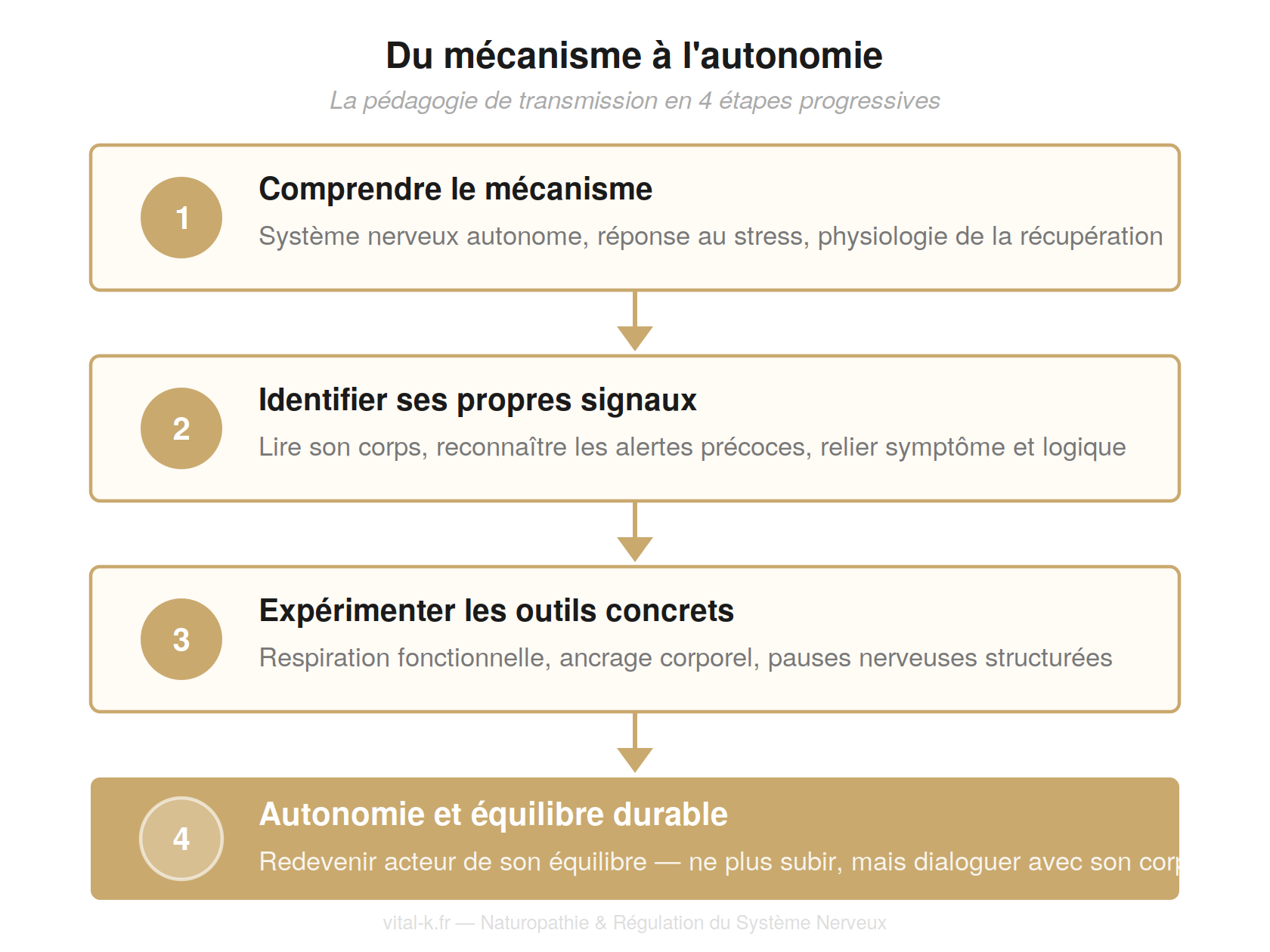 Du mécanisme à l'autonomie — 4 étapes pédagogiques