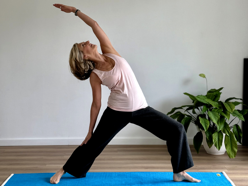 yoga avec vital k karine barollot professeur a pau