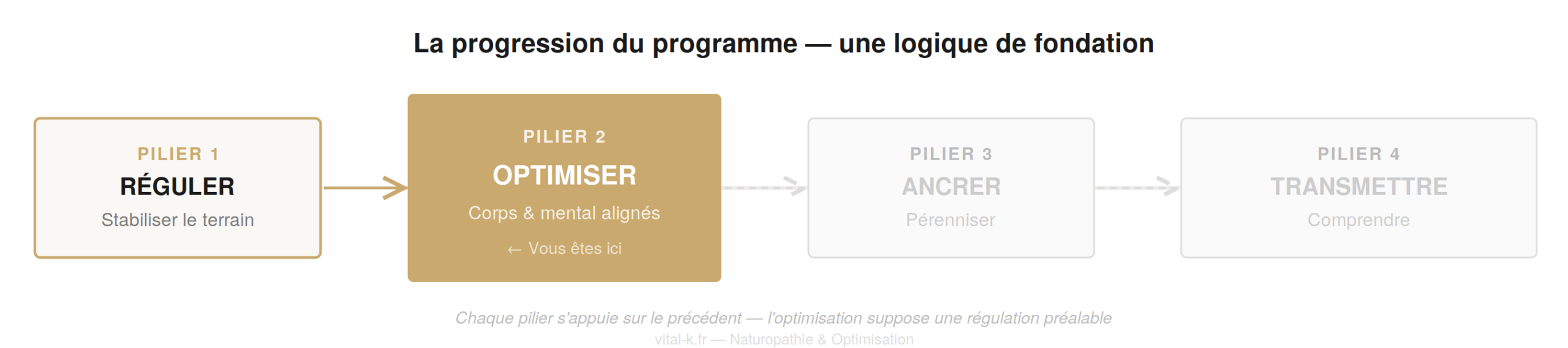 La progression du programme — des 4 piliers, Pilier 2 Optimiser en surbrillance