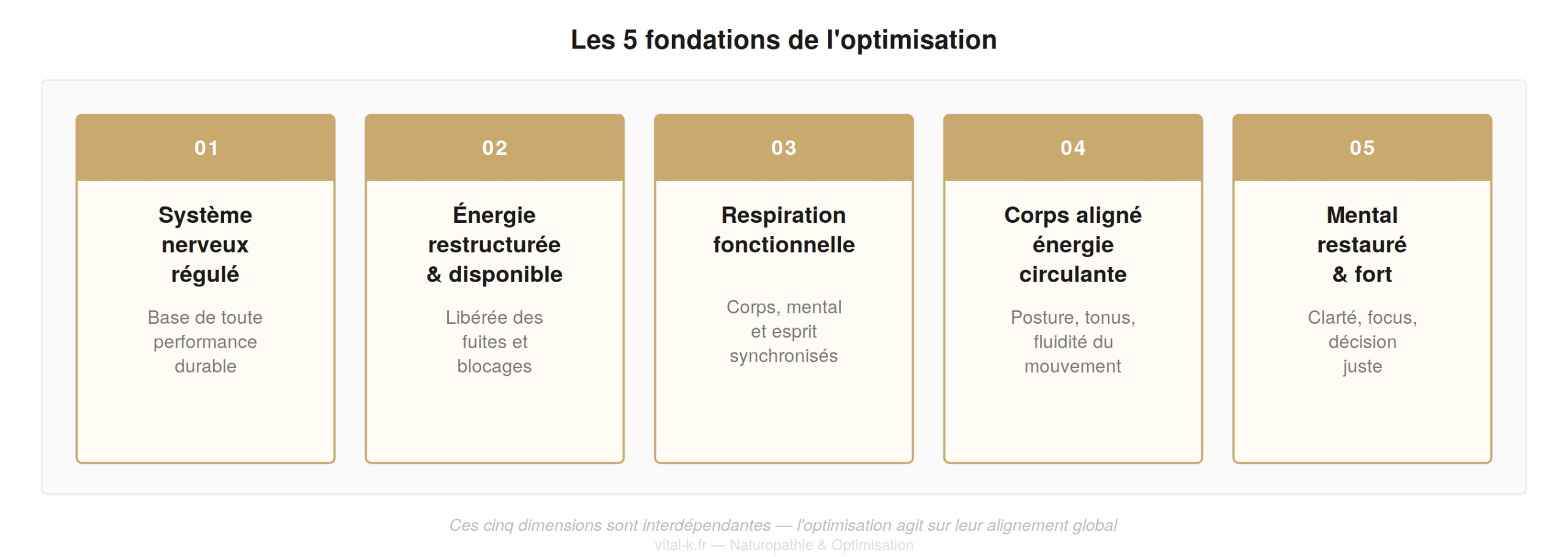 Les 5 fondations de l'optimisation — système nerveux, énergie, respiration, corps, mental