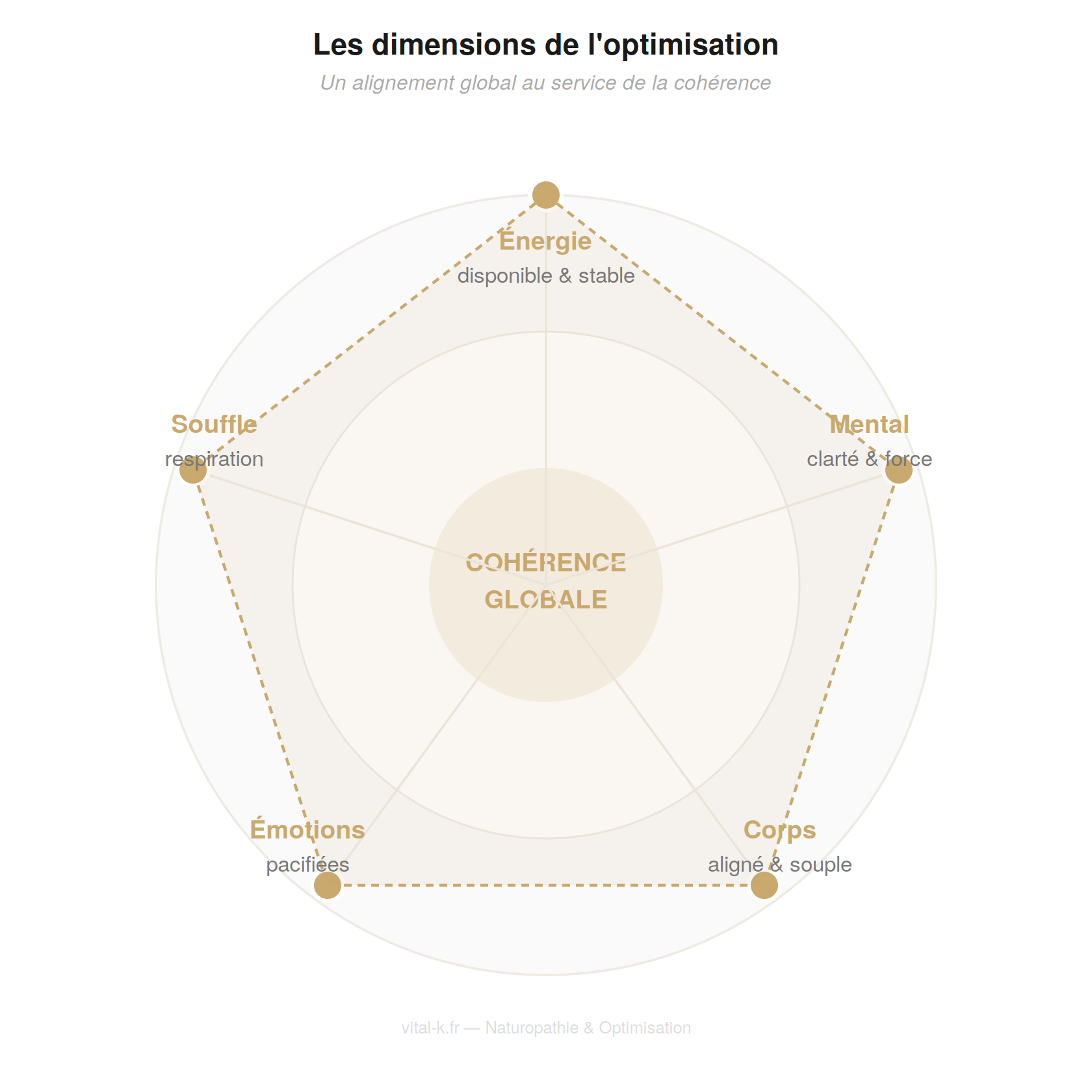 Les 5 dimensions de l'optimisation — roue de la cohérence globale